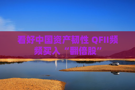 看好中国资产韧性 QFII频频买入“翻倍股”