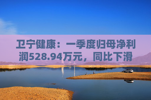 卫宁健康：一季度归母净利润528.94万元，同比下滑68.18%