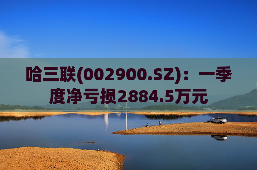 哈三联(002900.SZ)：一季度净亏损2884.5万元