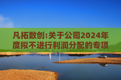 凡拓数创:关于公司2024年度拟不进行利润分配的专项说明
