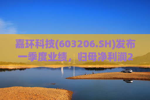 嘉环科技(603206.SH)发布一季度业绩，归母净利润2021.72万元，同比下降21.02%