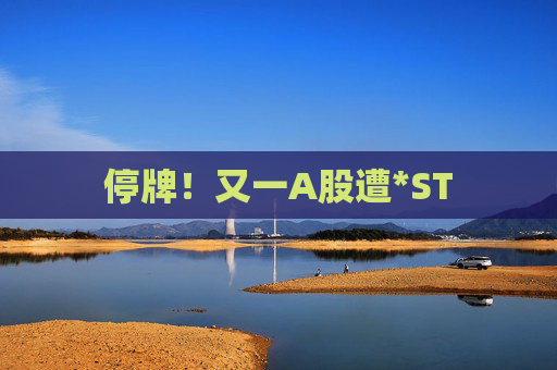 停牌！又一A股遭*ST
