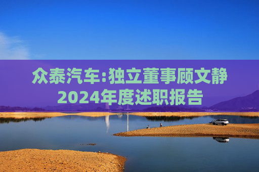 众泰汽车:独立董事顾文静2024年度述职报告