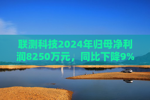 联测科技2024年归母净利润8250万元，同比下降9%