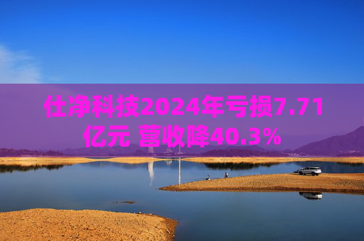 仕净科技2024年亏损7.71亿元 营收降40.3%  第1张
