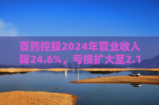 首药控股2024年营业收入降24.6%，亏损扩大至2.12亿元
