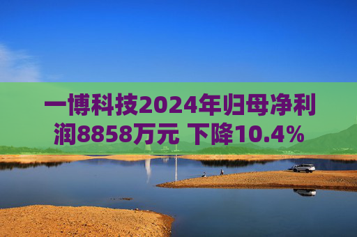一博科技2024年归母净利润8858万元 下降10.4%