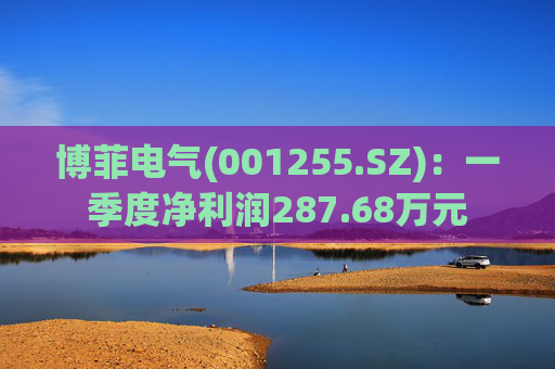 博菲电气(001255.SZ)：一季度净利润287.68万元