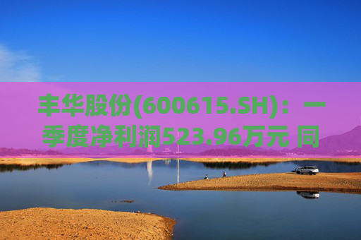 丰华股份(600615.SH)：一季度净利润523.96万元 同比增长645.11%