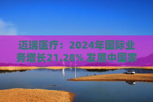 迈瑞医疗：2024年国际业务增长21.28% 发展中国家成重要增长引擎  第1张