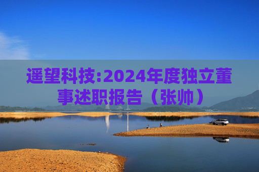 遥望科技:2024年度独立董事述职报告（张帅）