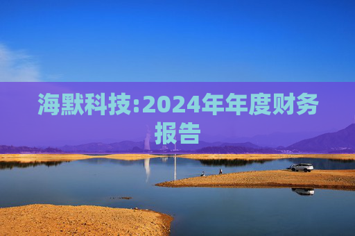 海默科技:2024年年度财务报告