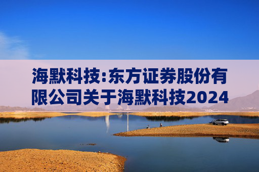 海默科技:东方证券股份有限公司关于海默科技2024年年度持续督导跟踪报告  第1张