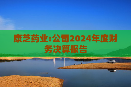 康芝药业:公司2024年度财务决算报告