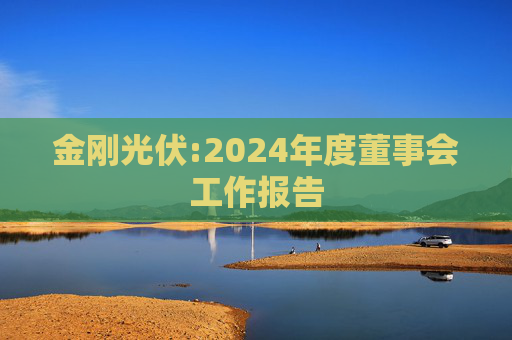 金刚光伏:2024年度董事会工作报告  第1张