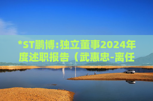 *ST鹏博:独立董事2024年度述职报告（武惠忠-离任）