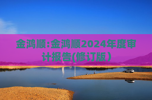 金鸿顺:金鸿顺2024年度审计报告(修订版）