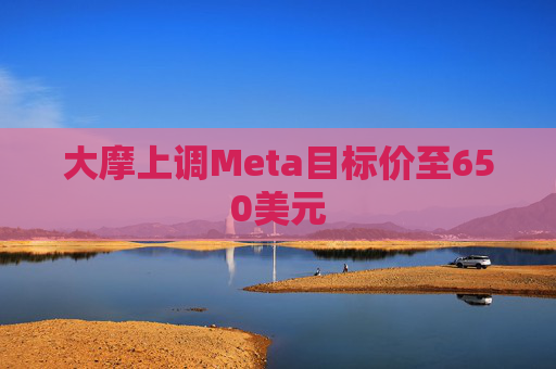 大摩上调Meta目标价至650美元  第1张