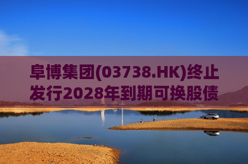 阜博集团(03738.HK)终止发行2028年到期可换股债券