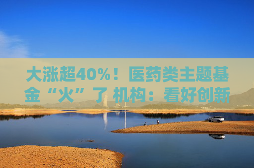 大涨超40%!医药类主题基金“火”了 机构:看好创新药投资机会 第1张 大涨超40%!医药类主题基金“火”了 机构:看好创新药投资机会 第1张