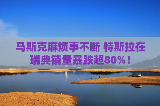 马斯克麻烦事不断 特斯拉在瑞典销量暴跌超80%！  第1张