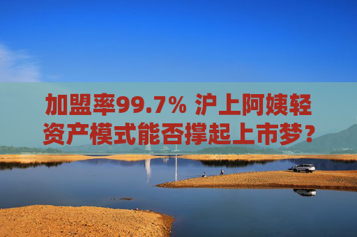 加盟率99.7% 沪上阿姨轻资产模式能否撑起上市梦?