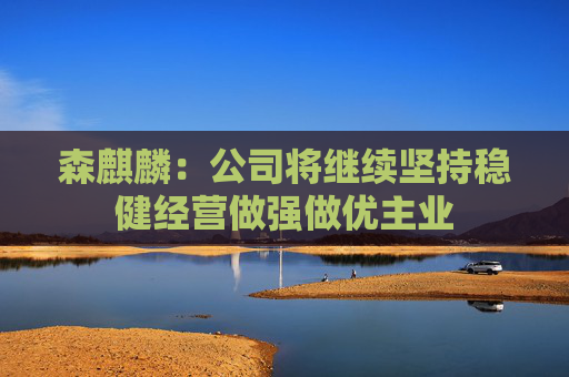 森麒麟:公司将继续坚持稳健经营做强做优主业 第1张 森麒麟:公司将继续坚持稳健经营做强做优主业 第1张