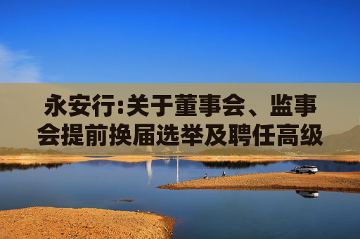 永安行:关于董事会、监事会提前换届选举及聘任高级管理人员的公告  第1张