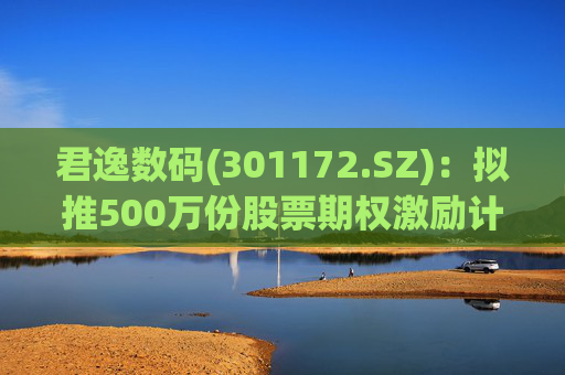君逸数码(301172.SZ)：拟推500万份股票期权激励计划  第1张