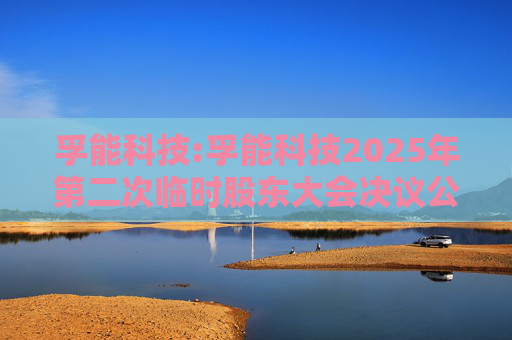 孚能科技:孚能科技2025年第二次临时股东大会决议公告  第1张