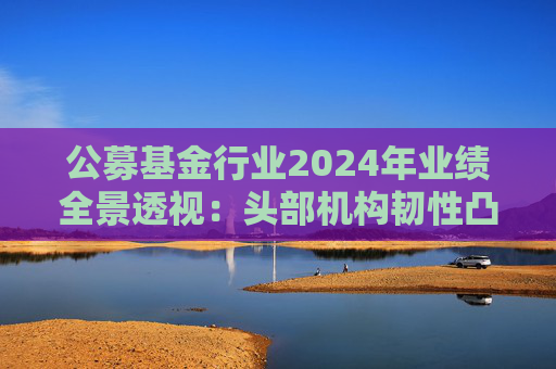 公募基金行业2024年业绩全景透视：头部机构韧性凸显 中小公司差异化突围