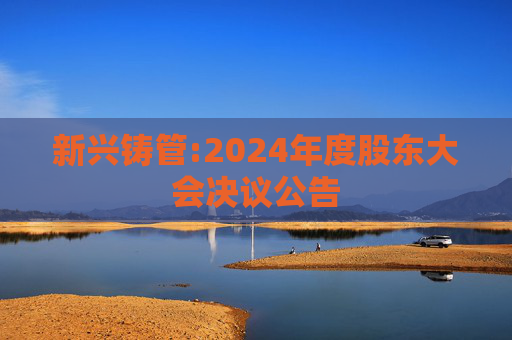 新兴铸管:2024年度股东大会决议公告