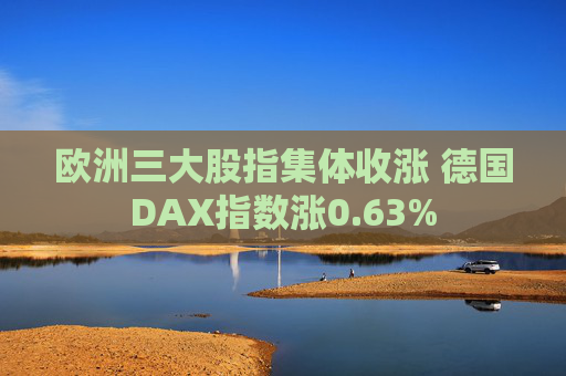 欧洲三大股指集体收涨 德国DAX指数涨0.63%