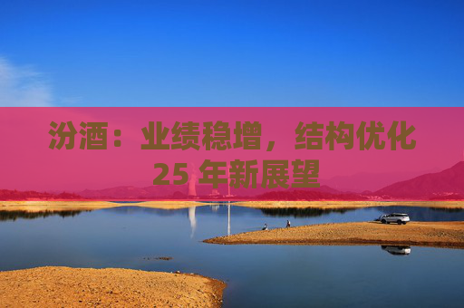 汾酒：业绩稳增，结构优化 25 年新展望  第1张