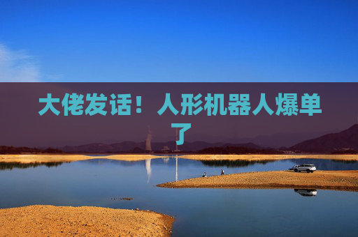 大佬发话！人形机器人爆单了  第1张