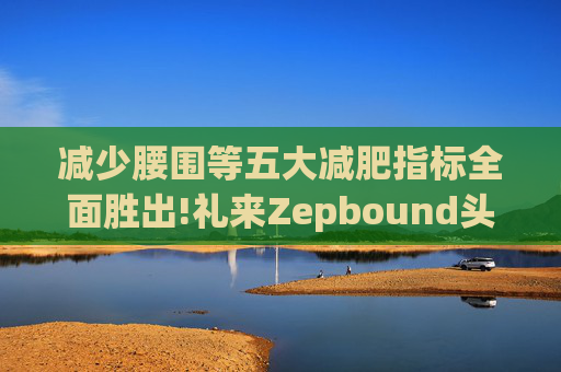 减少腰围等五大减肥指标全面胜出!礼来Zepbound头对头试验碾压诺和诺德(NVO.US)Wegovy  第1张