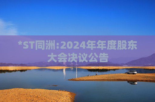 *ST同洲:2024年年度股东大会决议公告