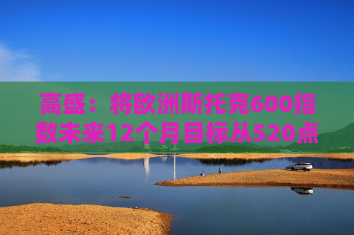 高盛：将欧洲斯托克600指数未来12个月目标从520点上调至570点