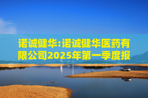 诺诚健华:诺诚健华医药有限公司2025年第一季度报告