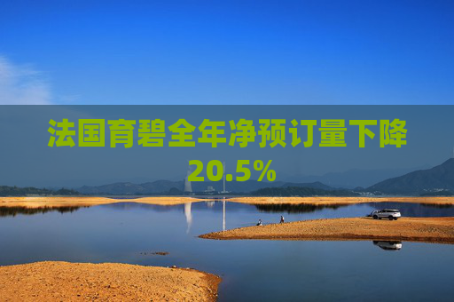 法国育碧全年净预订量下降 20.5%