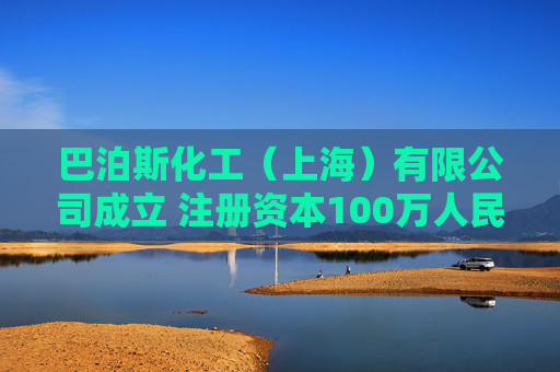 巴泊斯化工（上海）有限公司成立 注册资本100万人民币  第1张