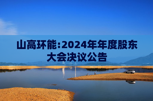 山高环能:2024年年度股东大会决议公告