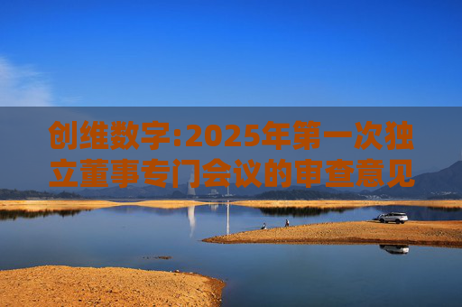 创维数字:2025年第一次独立董事专门会议的审查意见  第1张