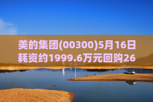 美的集团(00300)5月16日耗资约1999.6万元回购26.21万股A股  第1张