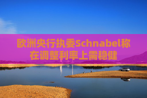 欧洲央行执委Schnabel称在调整利率上需稳健  第1张