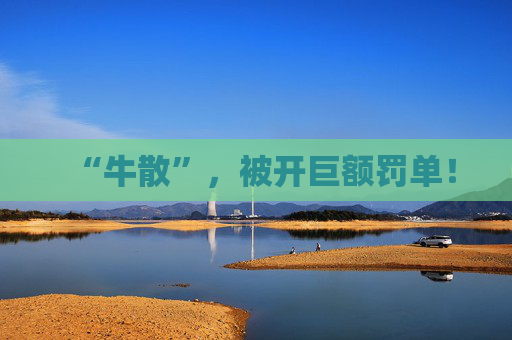 “牛散”，被开巨额罚单！  第1张
