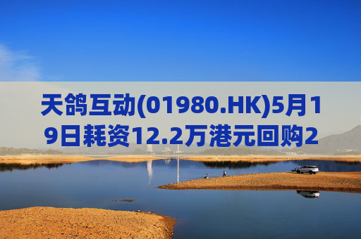 天鸽互动(01980.HK)5月19日耗资12.2万港元回购20万股