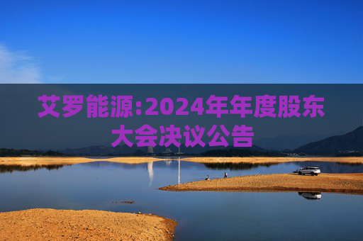 艾罗能源:2024年年度股东大会决议公告  第1张