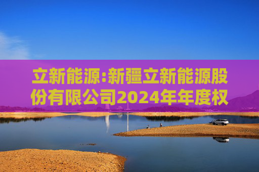 立新能源:新疆立新能源股份有限公司2024年年度权益分派实施公告  第1张