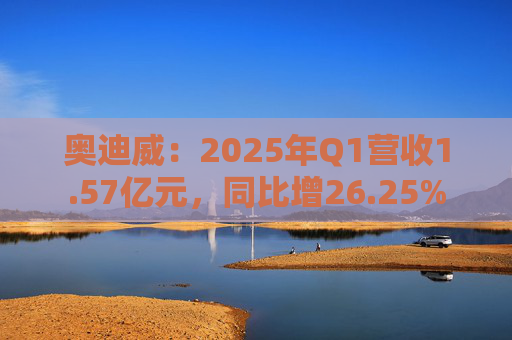 奥迪威：2025年Q1营收1.57亿元，同比增26.25%  第1张